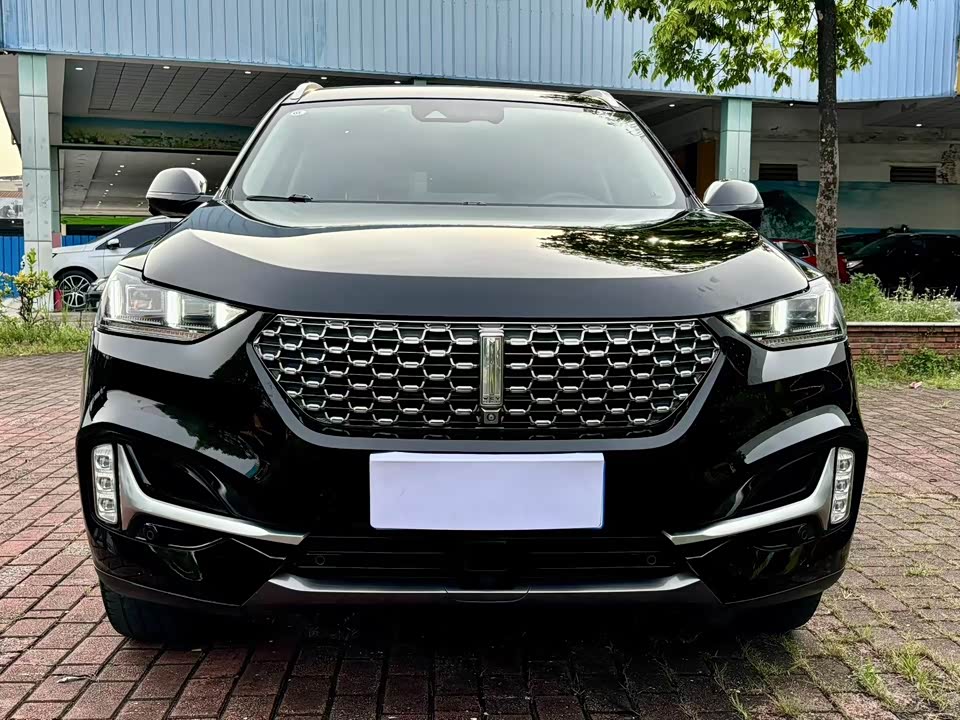 Weipai VV6