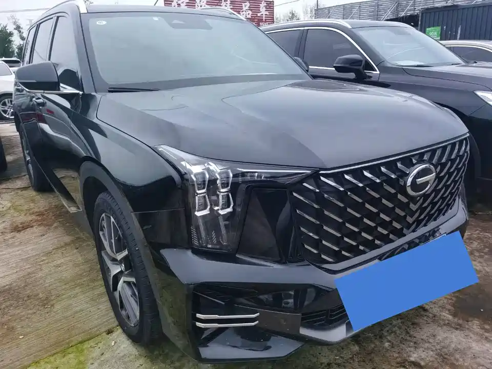 Trumpchi Trumpchi GS8