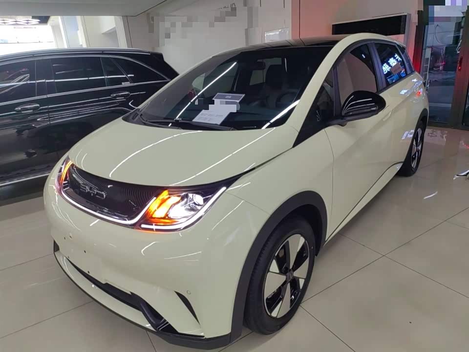 BYD dolphin