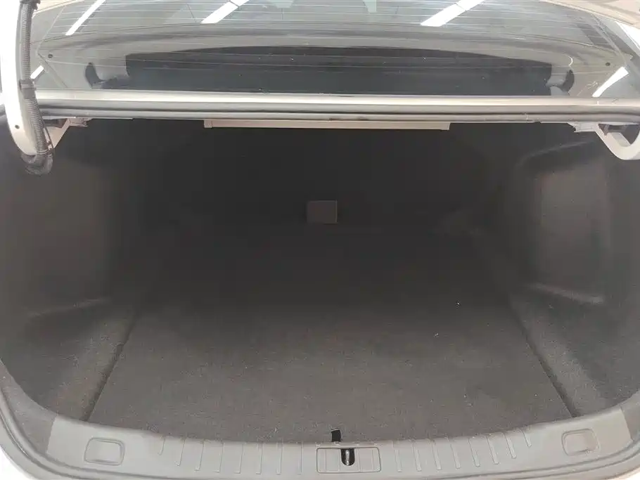 Buick Weilang