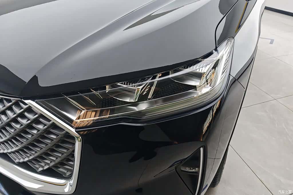 Haval H6, 2025 все фото