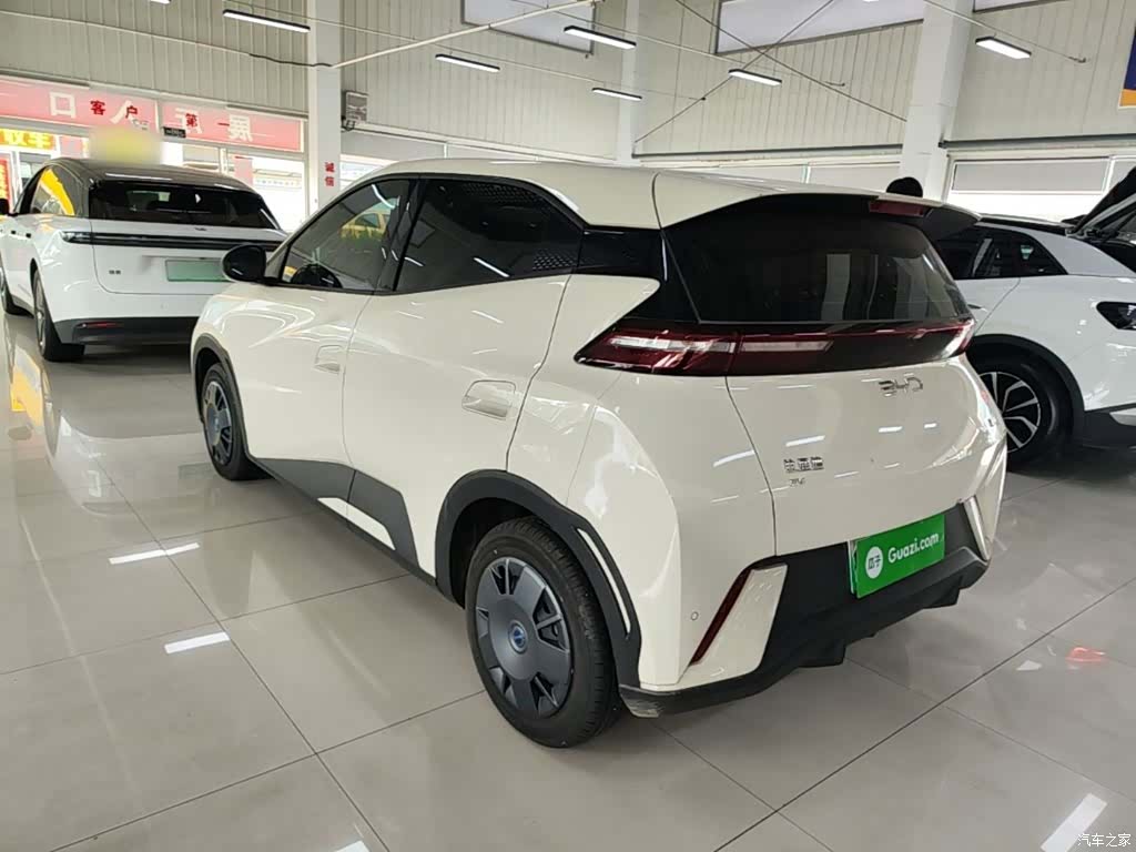 BYD Seagull, 2024 все фото