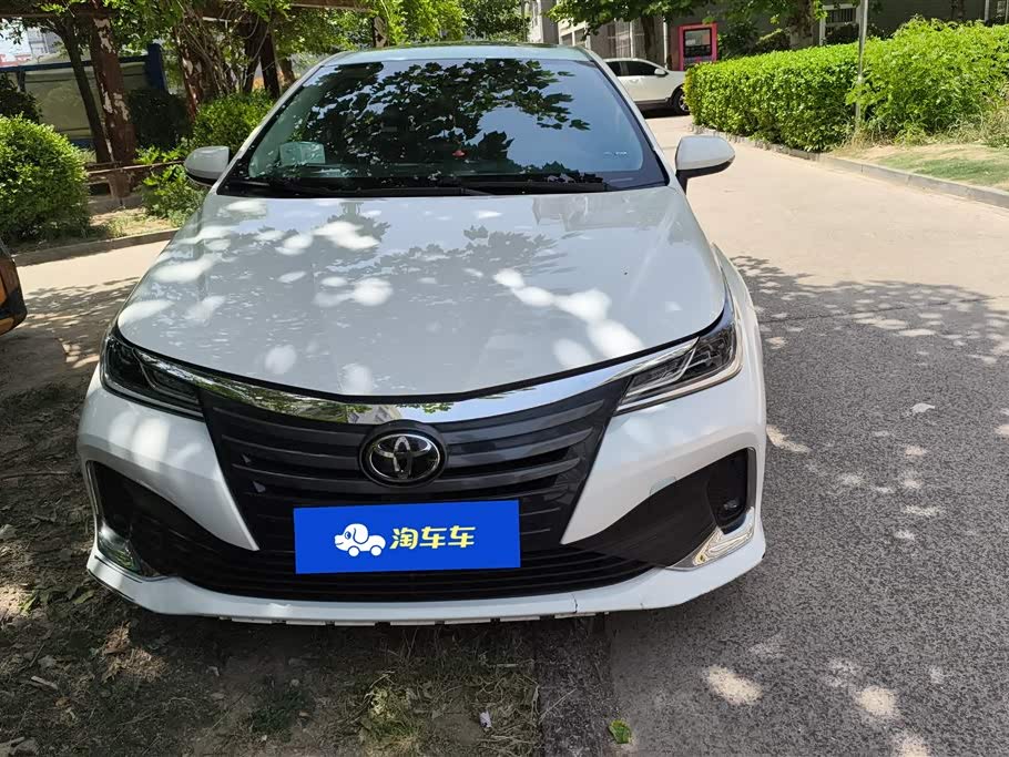 Toyota Asian lion