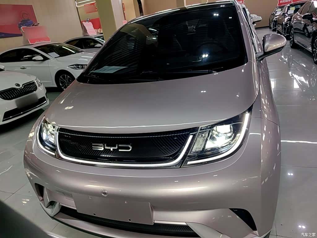 BYD Dolphin, 2023 3