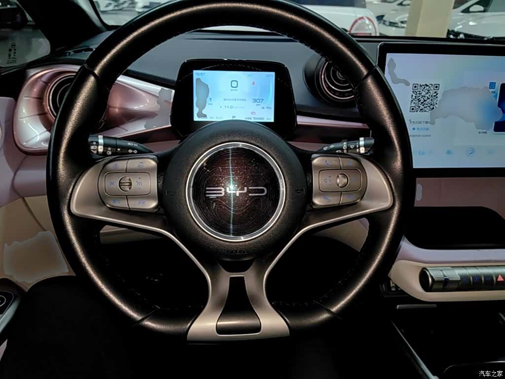 BYD Dolphin, 2023 11