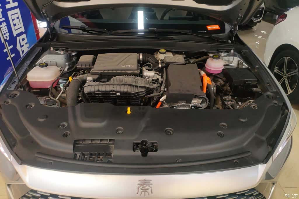 BYD Qin, 2024 10