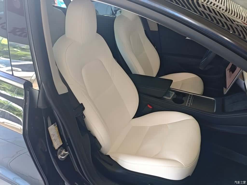 Tesla Model 3, 2022 25