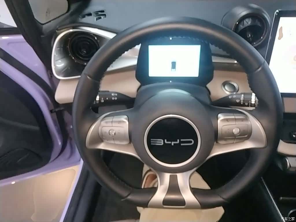 BYD Dolphin, 2023 11