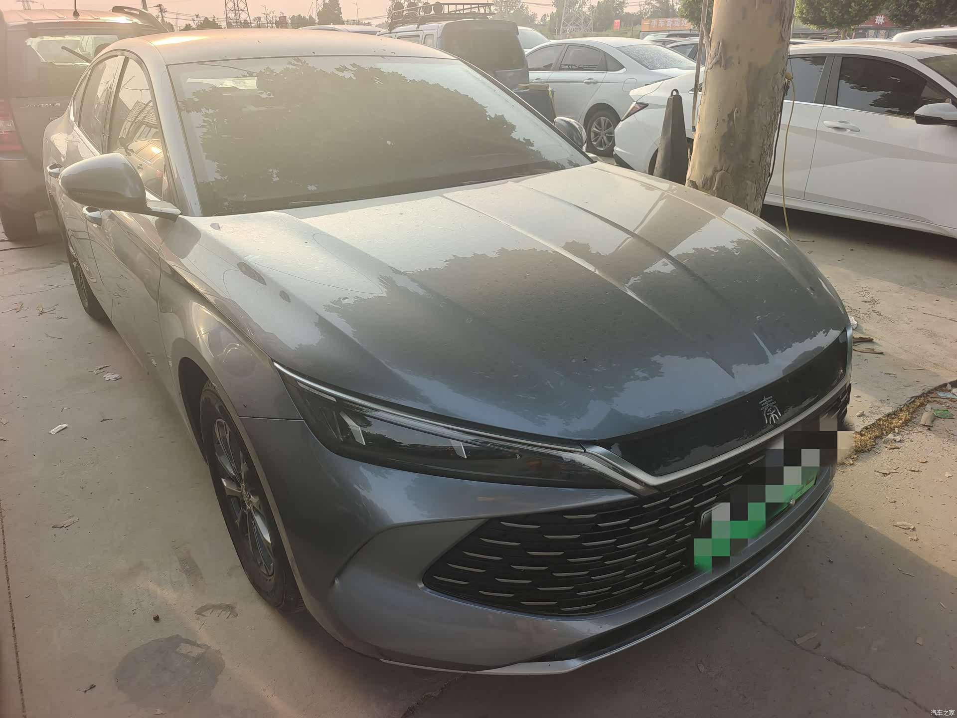 BYD Qin, 2025 3