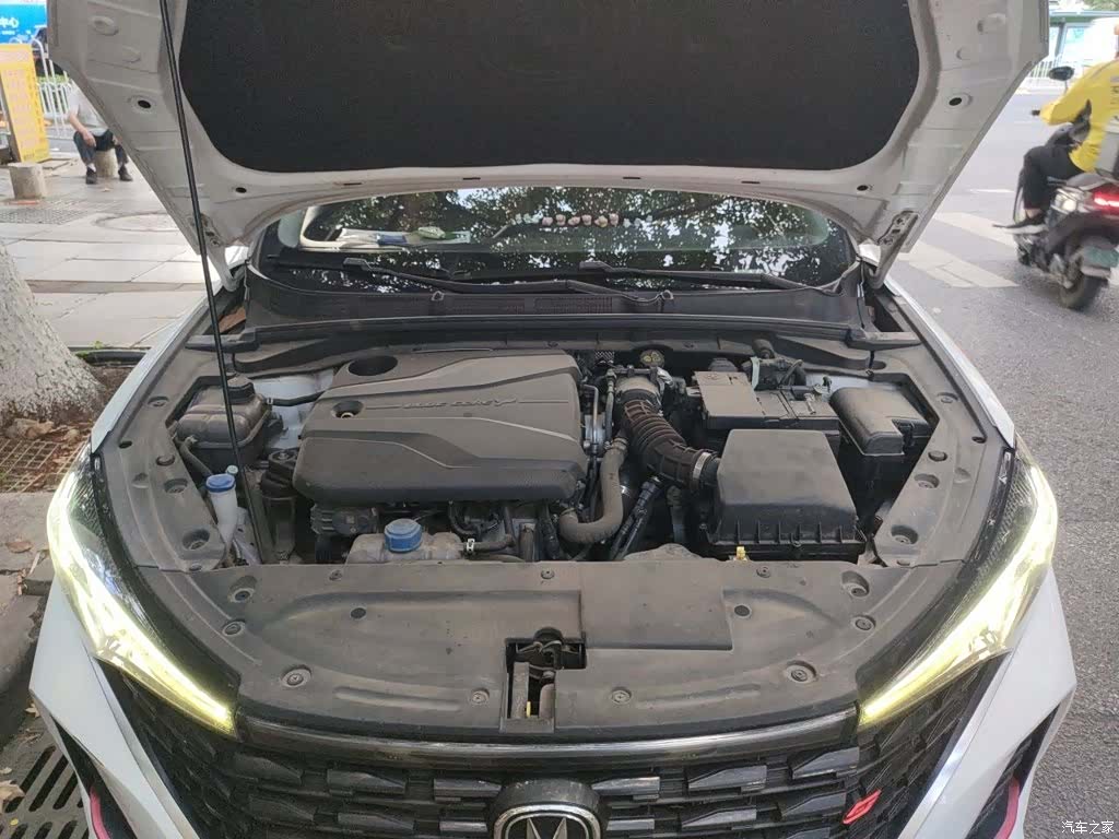 Changan Eado, 2022 11