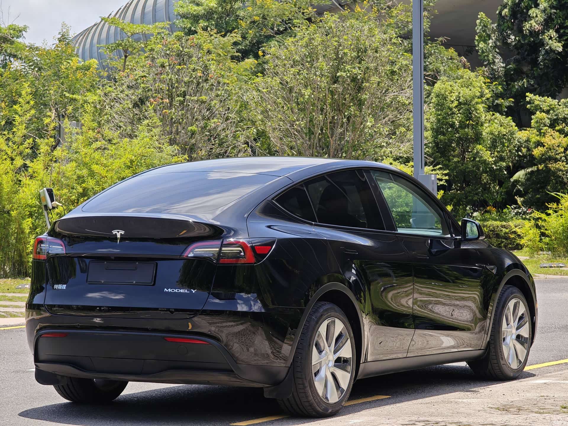 Tesla Model Y, 2023 все фото