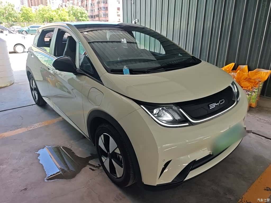 BYD Dolphin, 2024 4