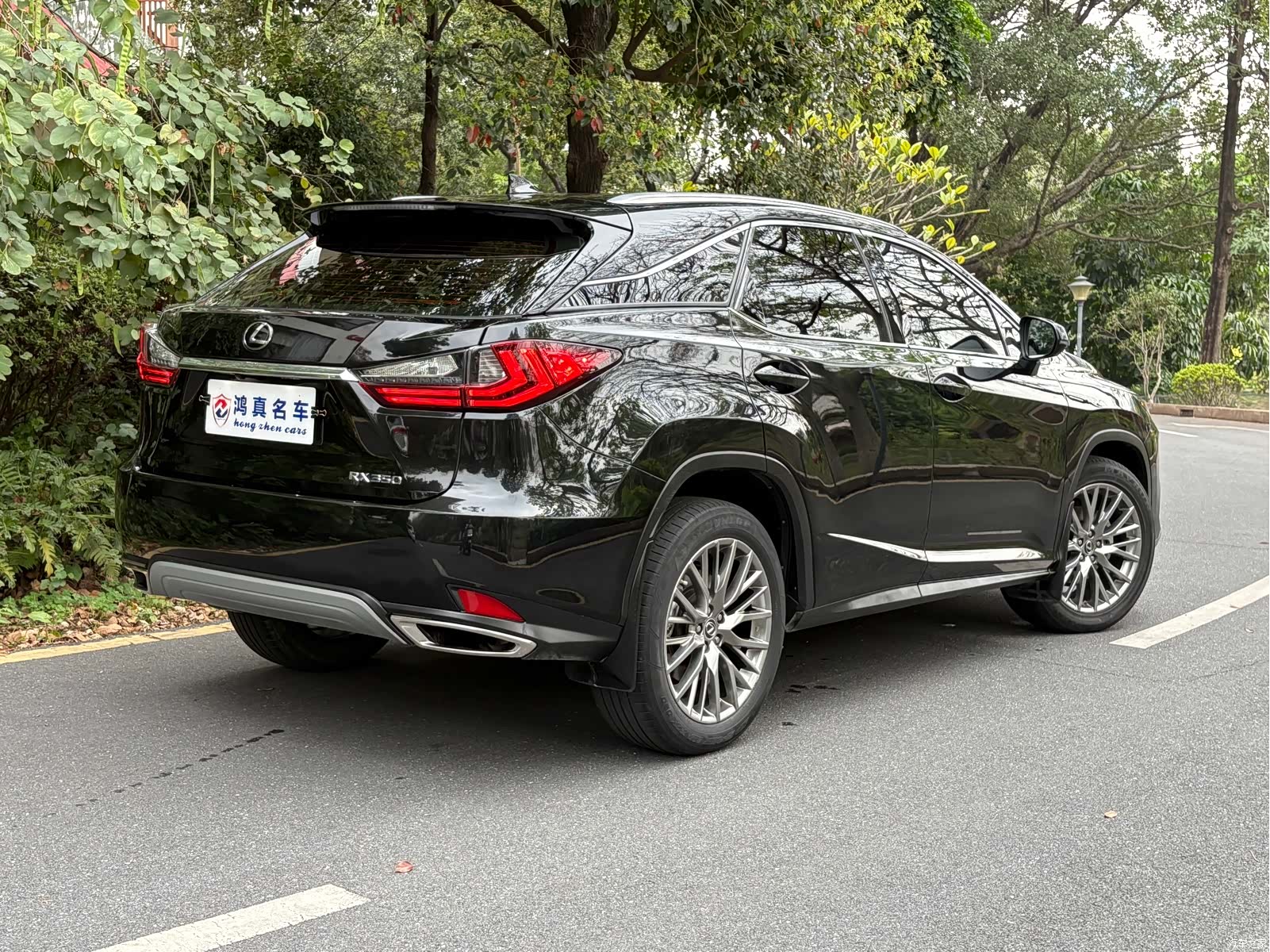 Lexus RX, 2020 все фото