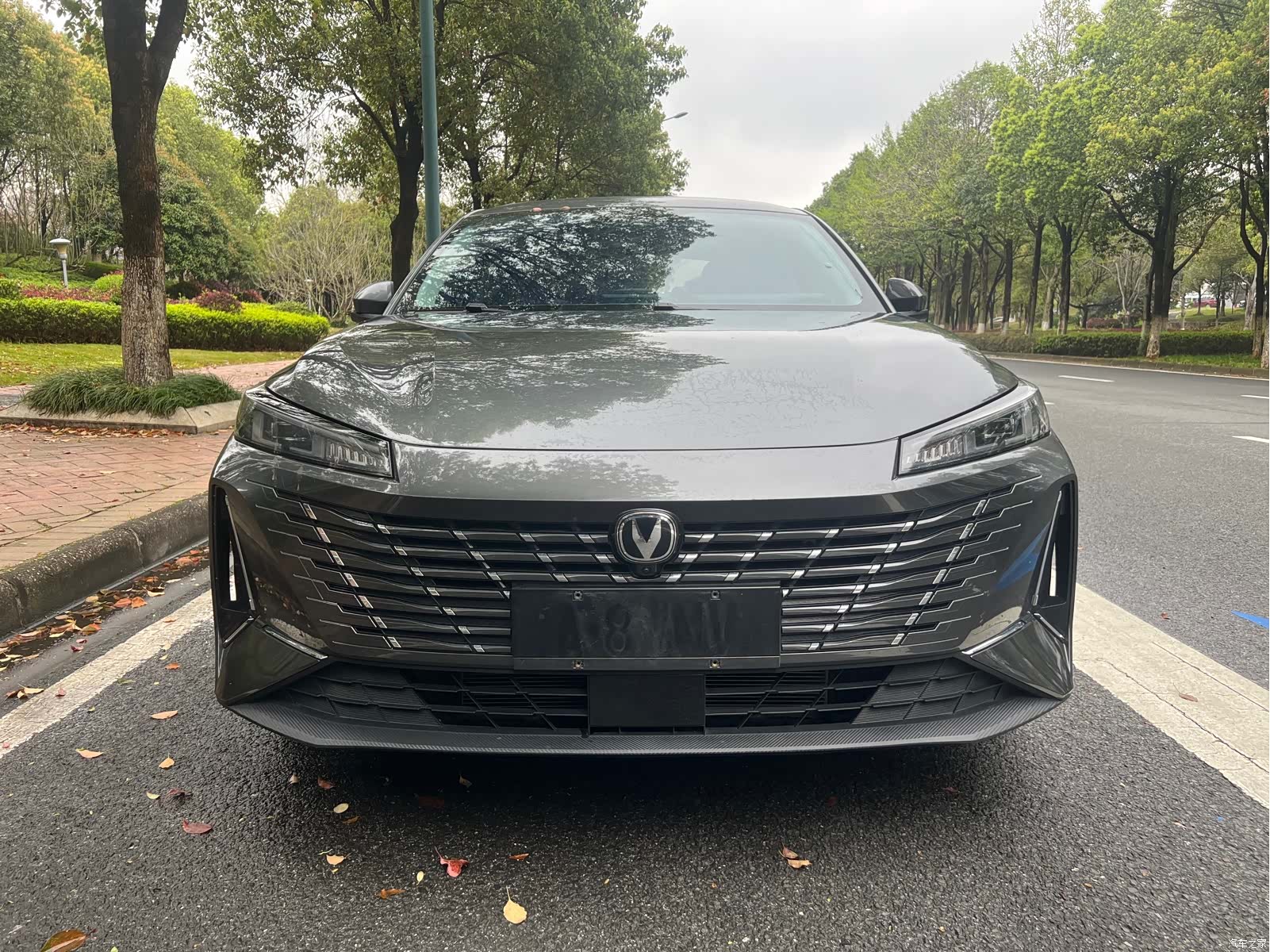 Changan Eado, 2024 2