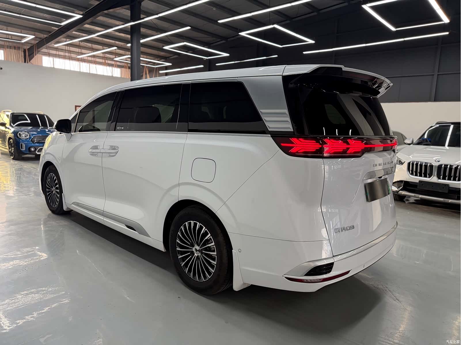 Denza D9, 2024 4