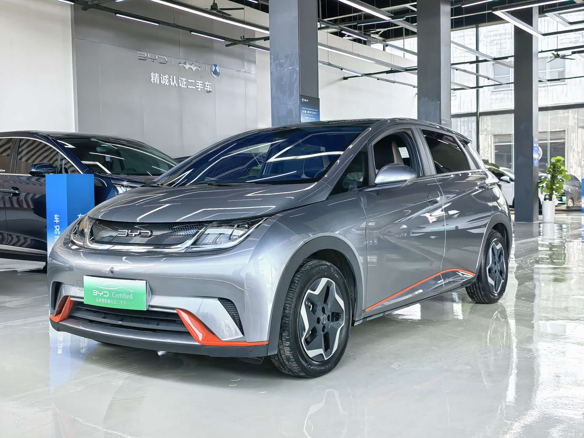 BYD Dolphin, 2022 1