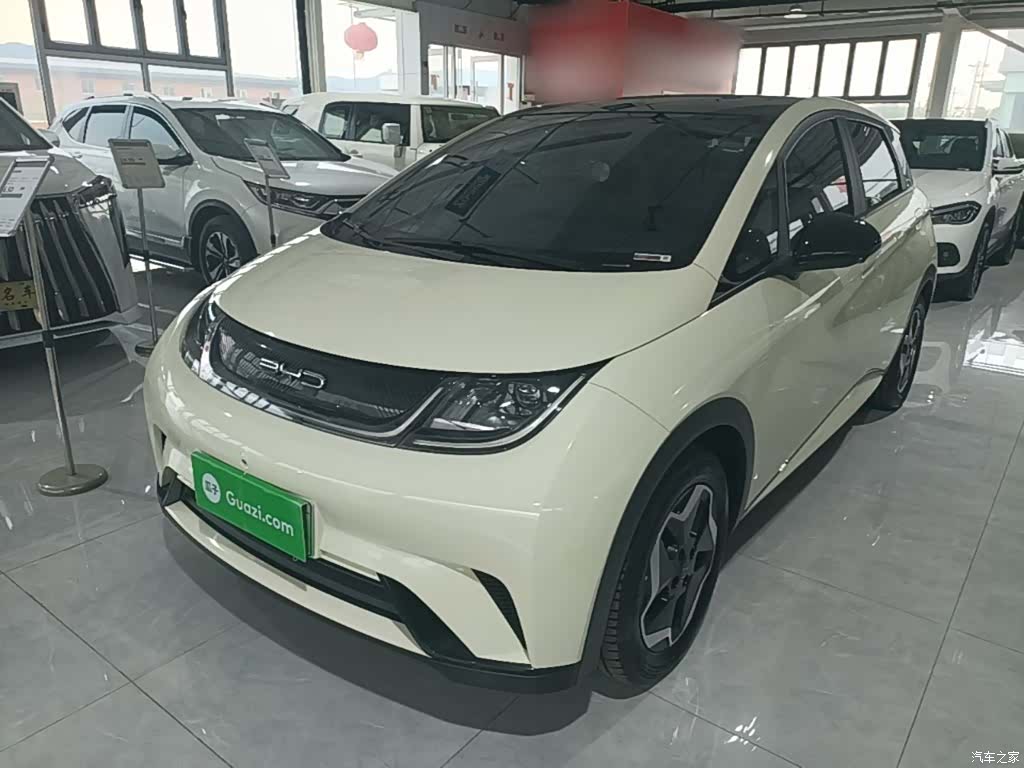 BYD Dolphin, 2022 1