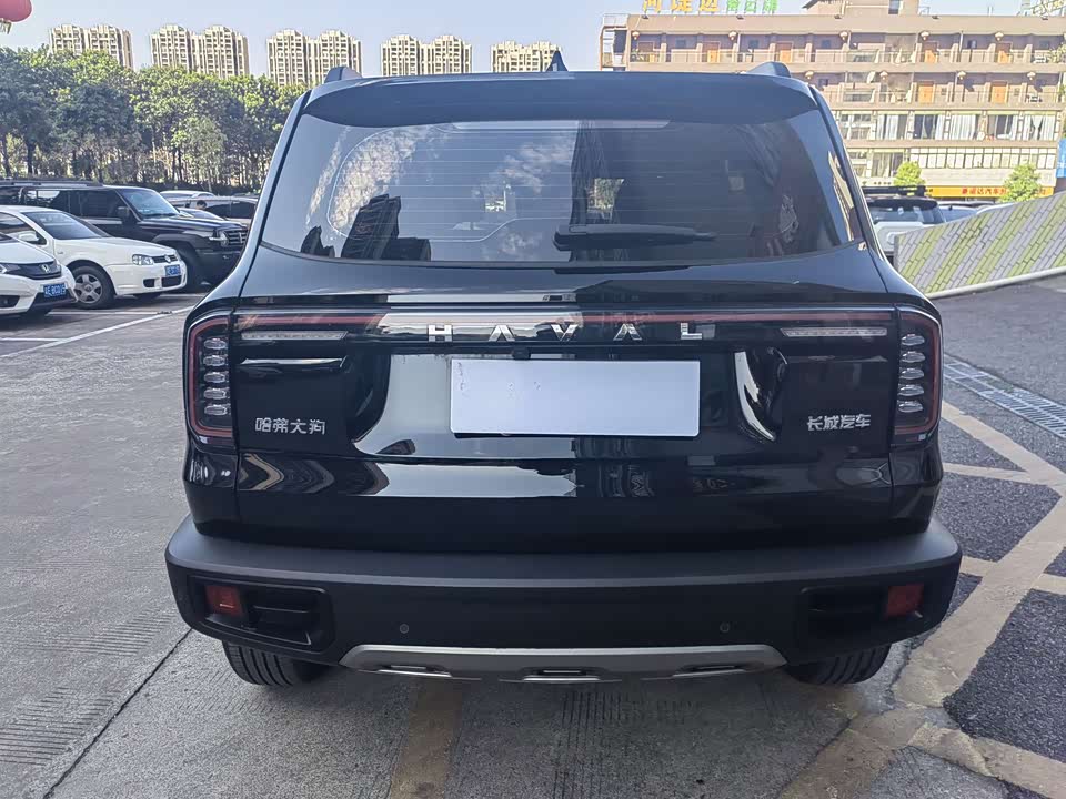 Haval Big dog