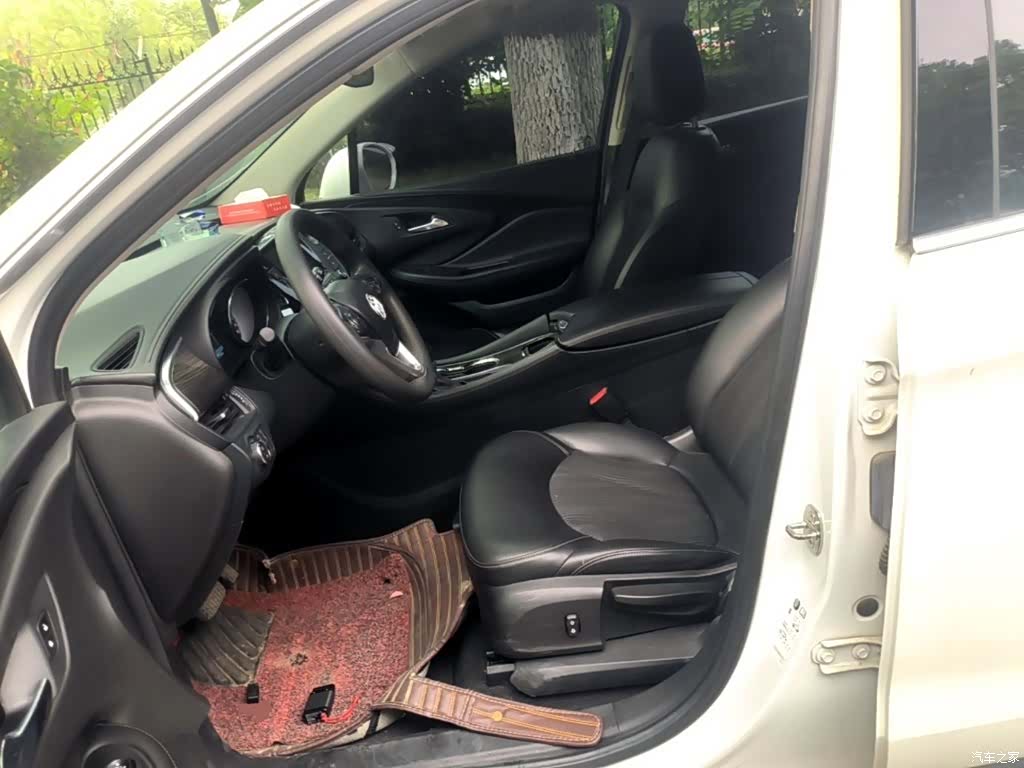 Buick Envision Plus, 2019 11
