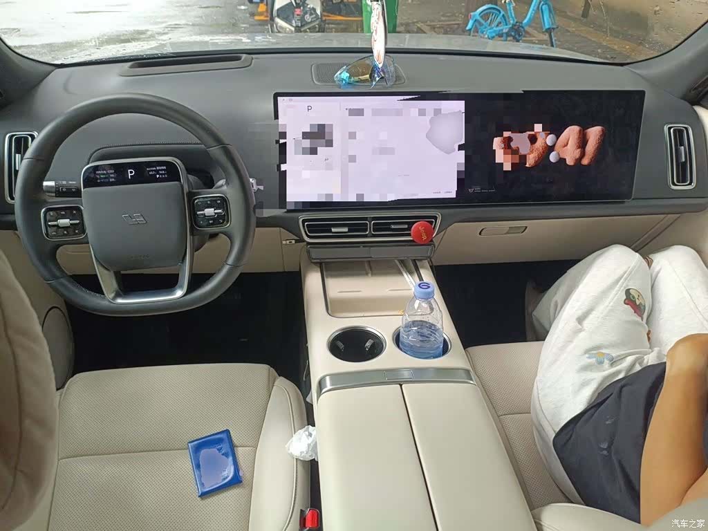 Li Auto L8, 2023 все фото