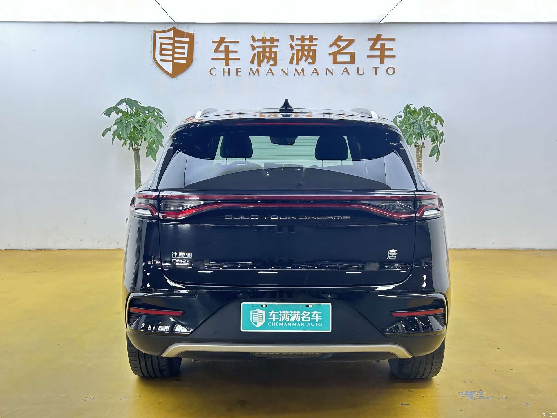 BYD Tang, 2023 10