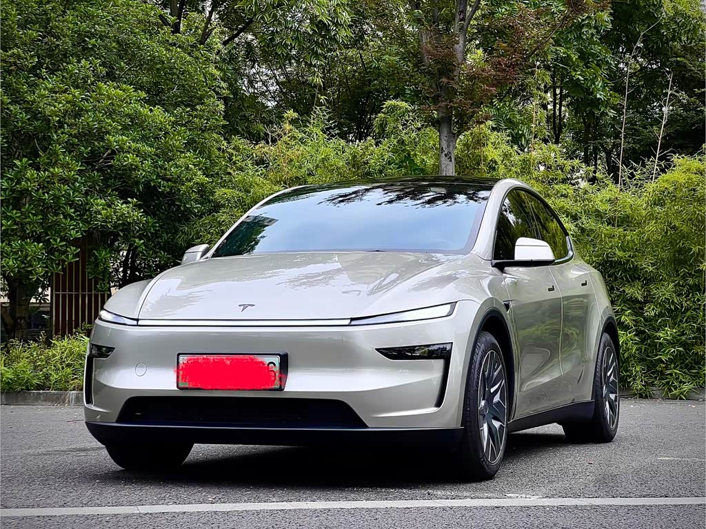 Tesla Model Y L