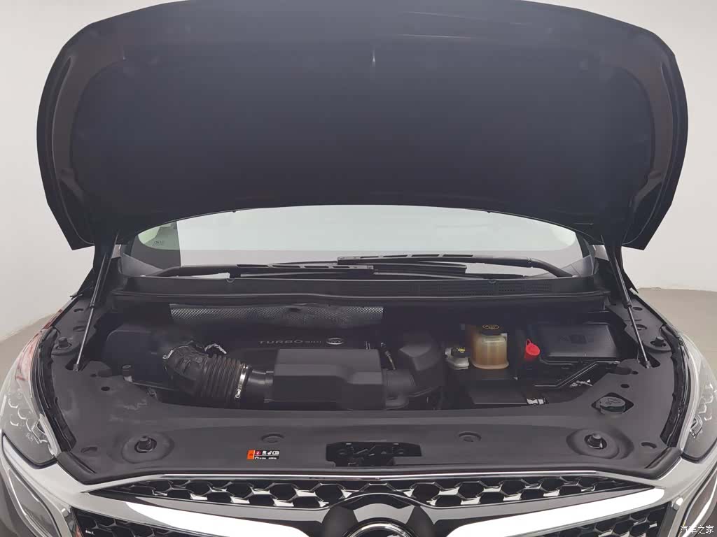 Buick GL8, 2020 6