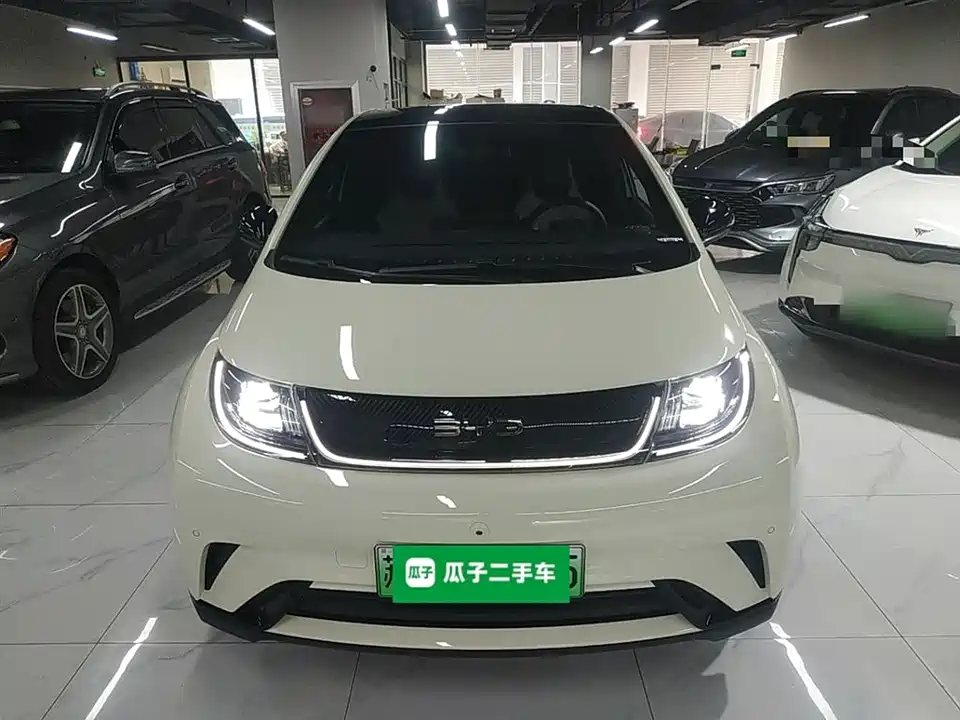 BYD dolphin
