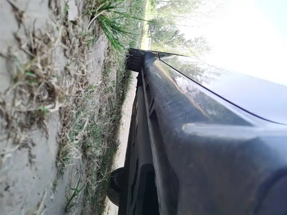 Wuling Wuling Starlight