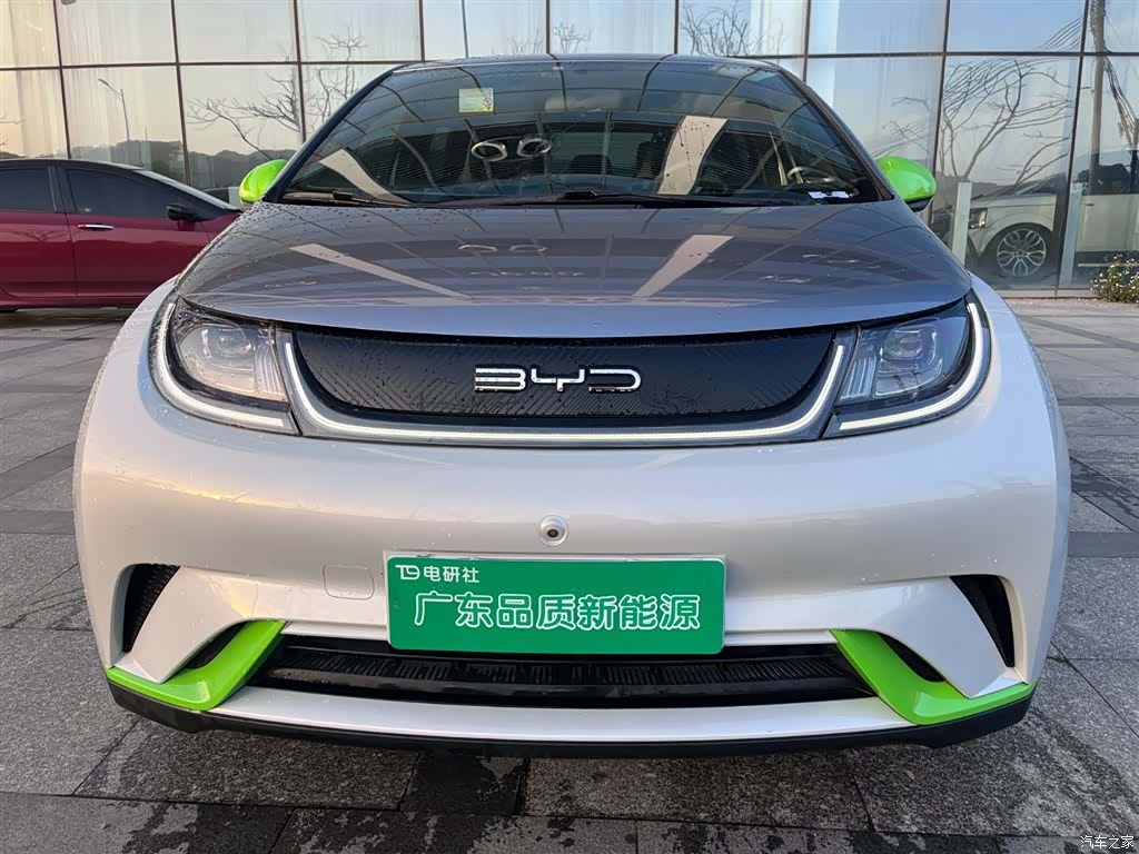 BYD Dolphin, 2021 2