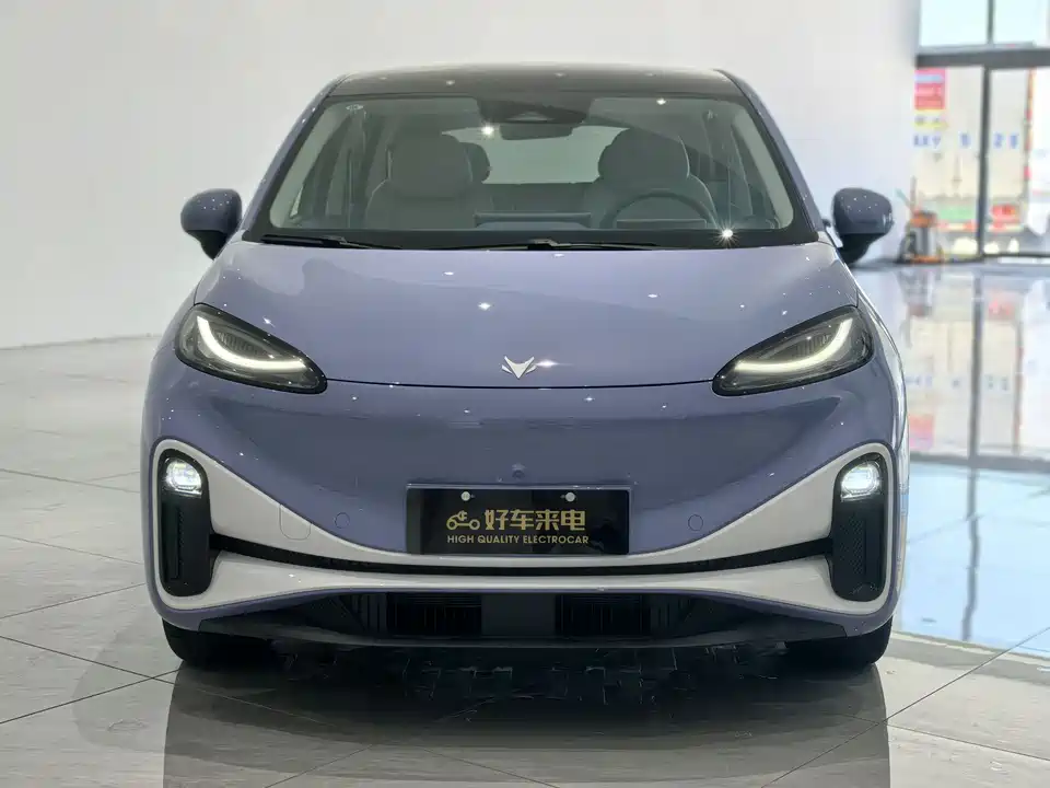 ARCFOX Polar fox koala