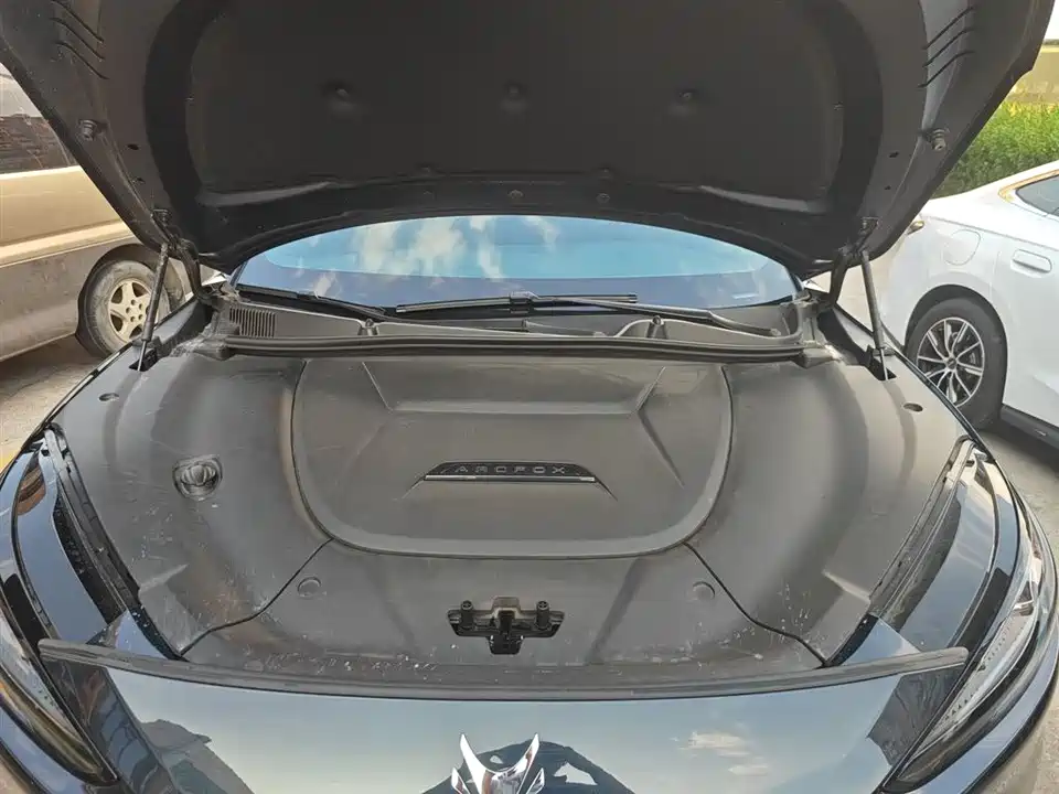 ARCFOX Polar Fox Alpha S