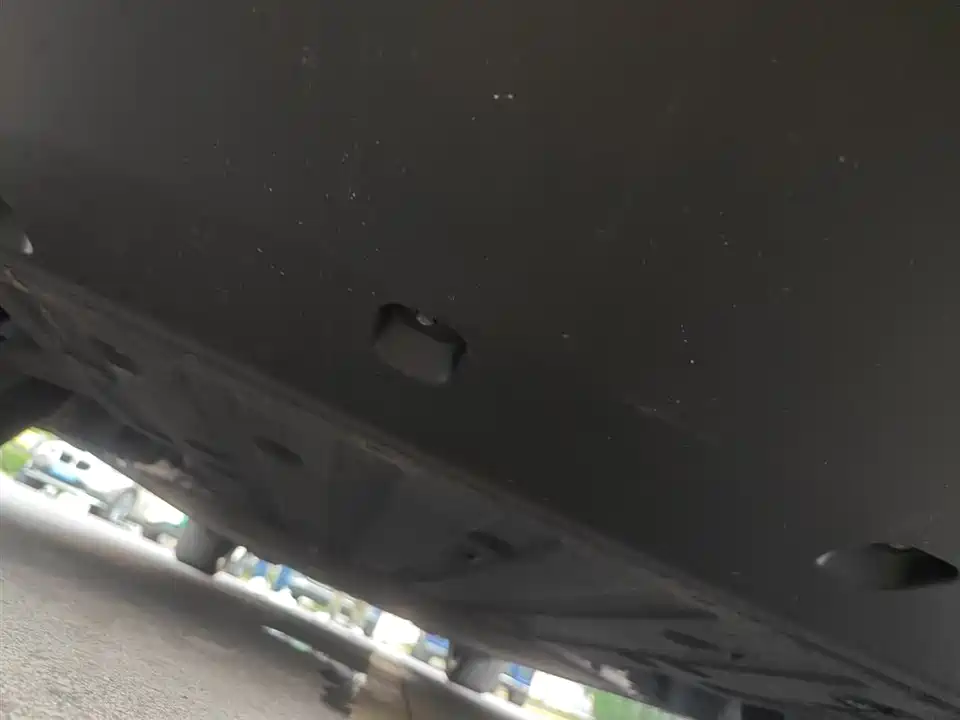 ARCFOX Polar Fox Alpha S