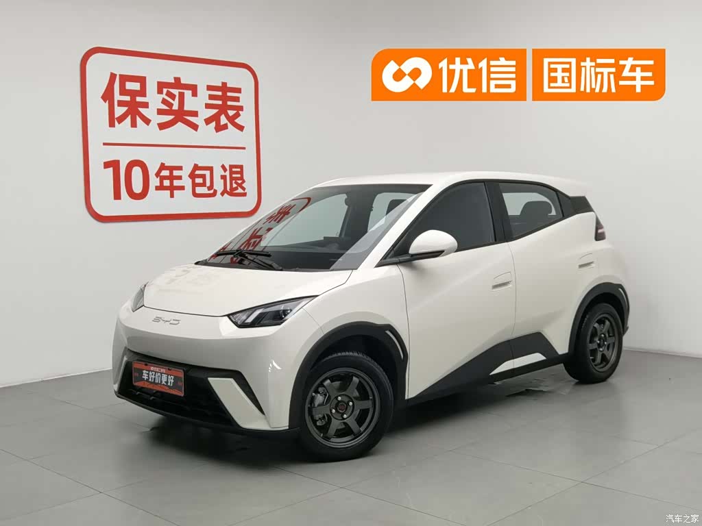 BYD Seagull, 2024 1