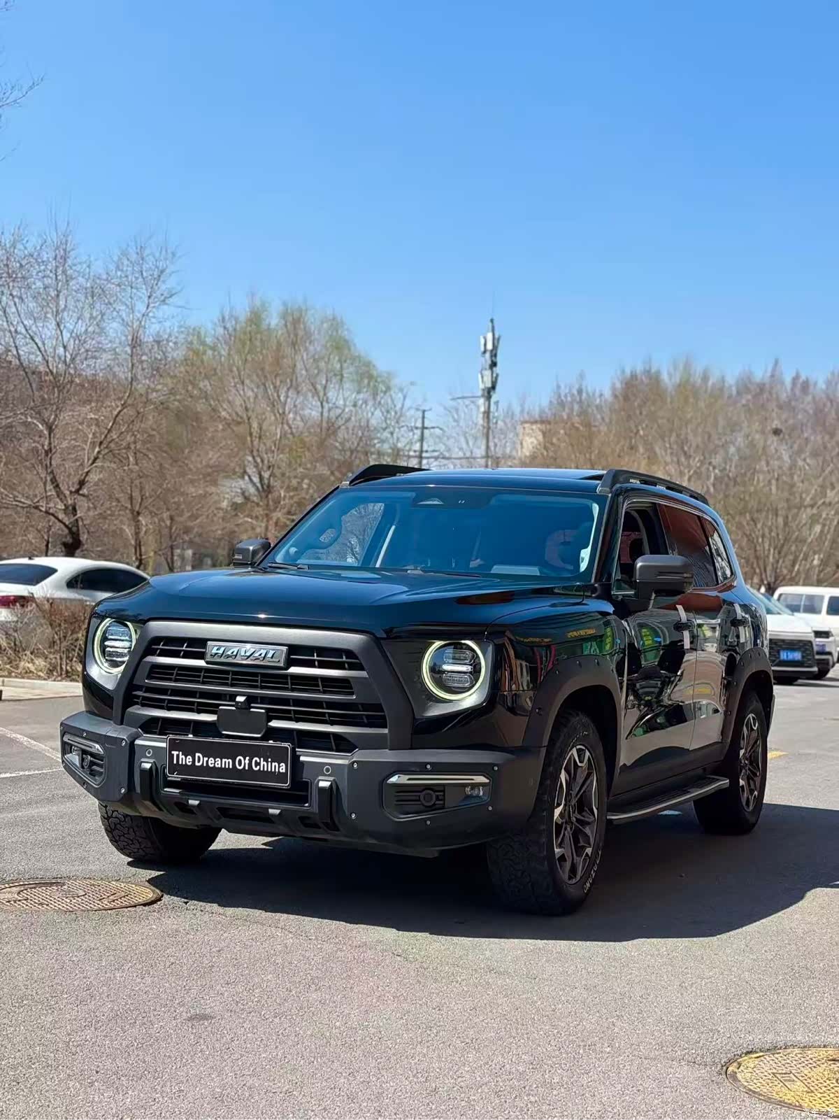 Haval Big Dog, 2022 11