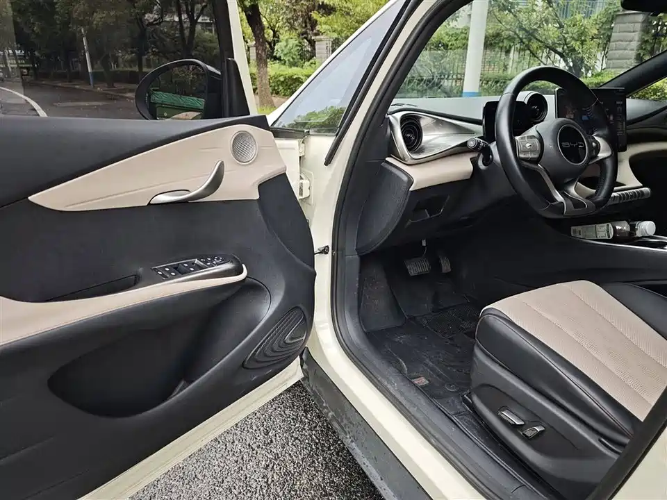 BYD dolphin