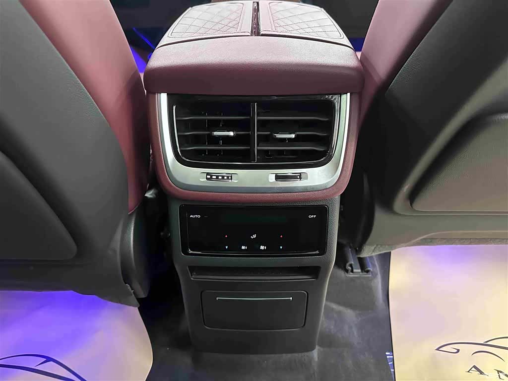Hongqi E-HS9, 2023 16