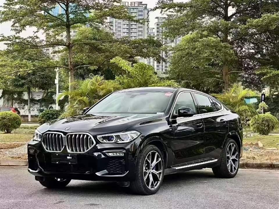 BMW X6