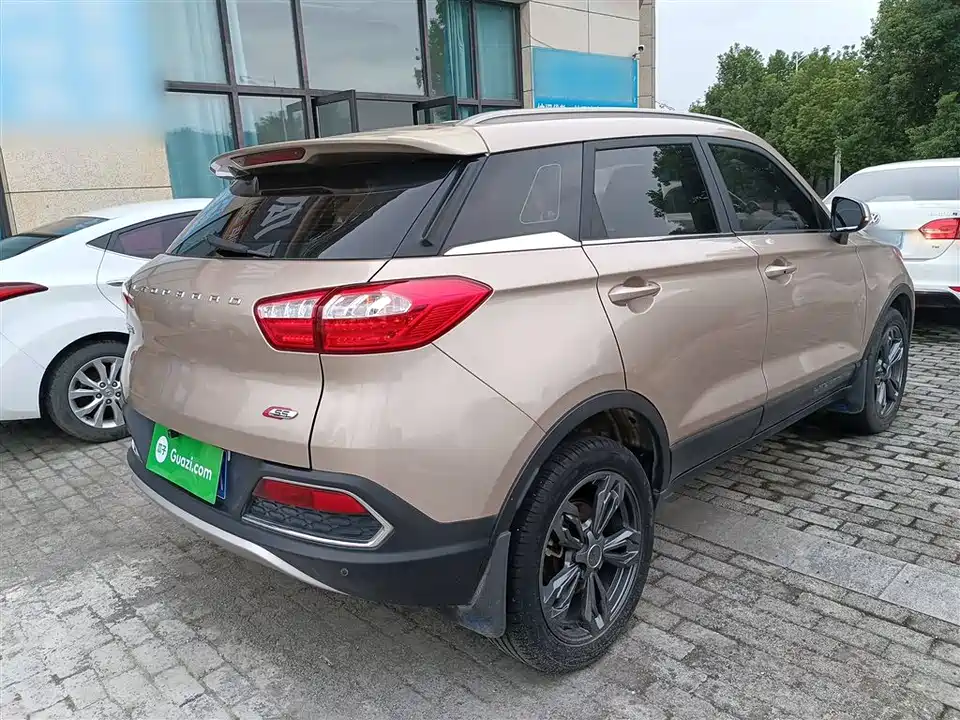 Leopaard Cheetah CS9