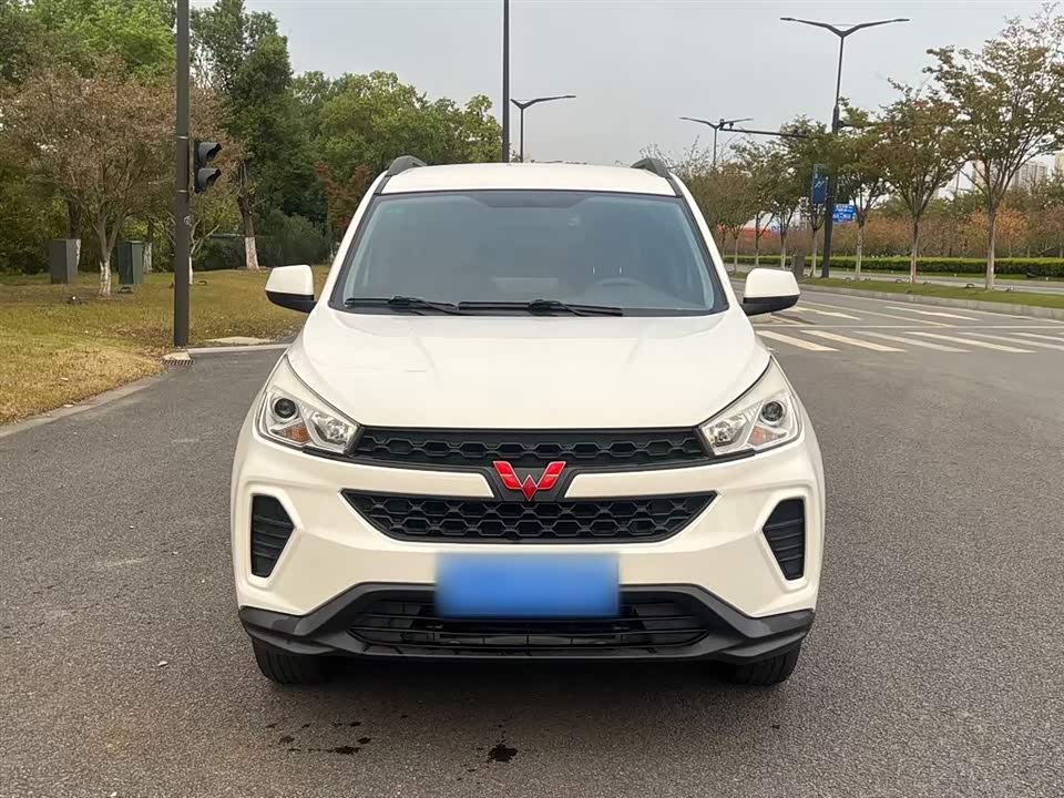Wuling Wuling Hongguang S3