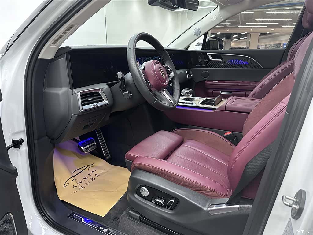 Hongqi E-HS9, 2023 7