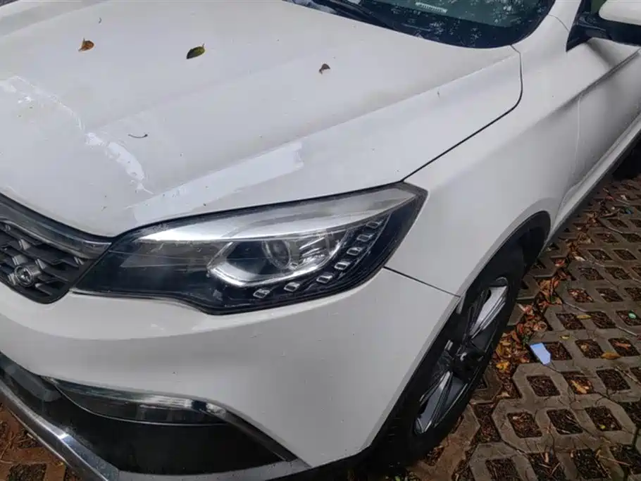 Leopaard Cheetah CS10