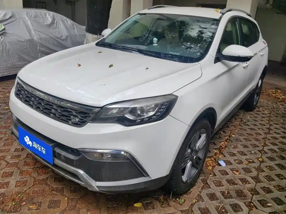 Leopaard Cheetah CS10