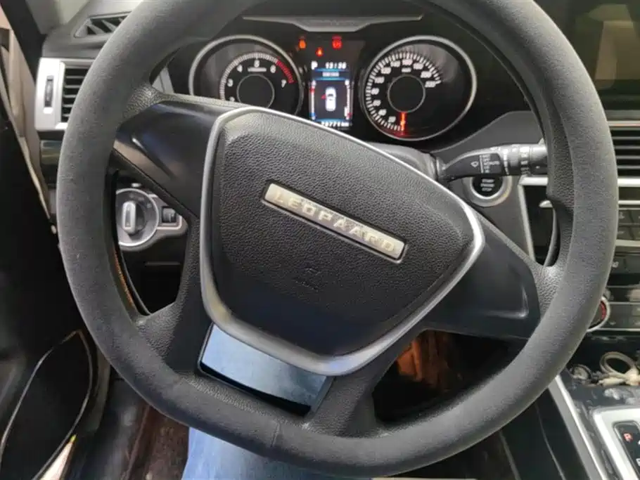 Leopaard Cheetah CS10