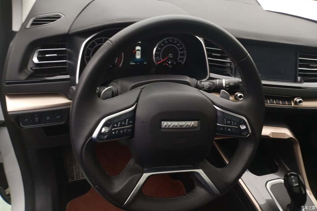 Haval H6, 2020 15
