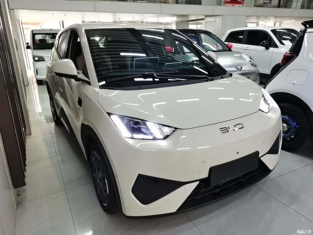 BYD Seagull, 2025 4