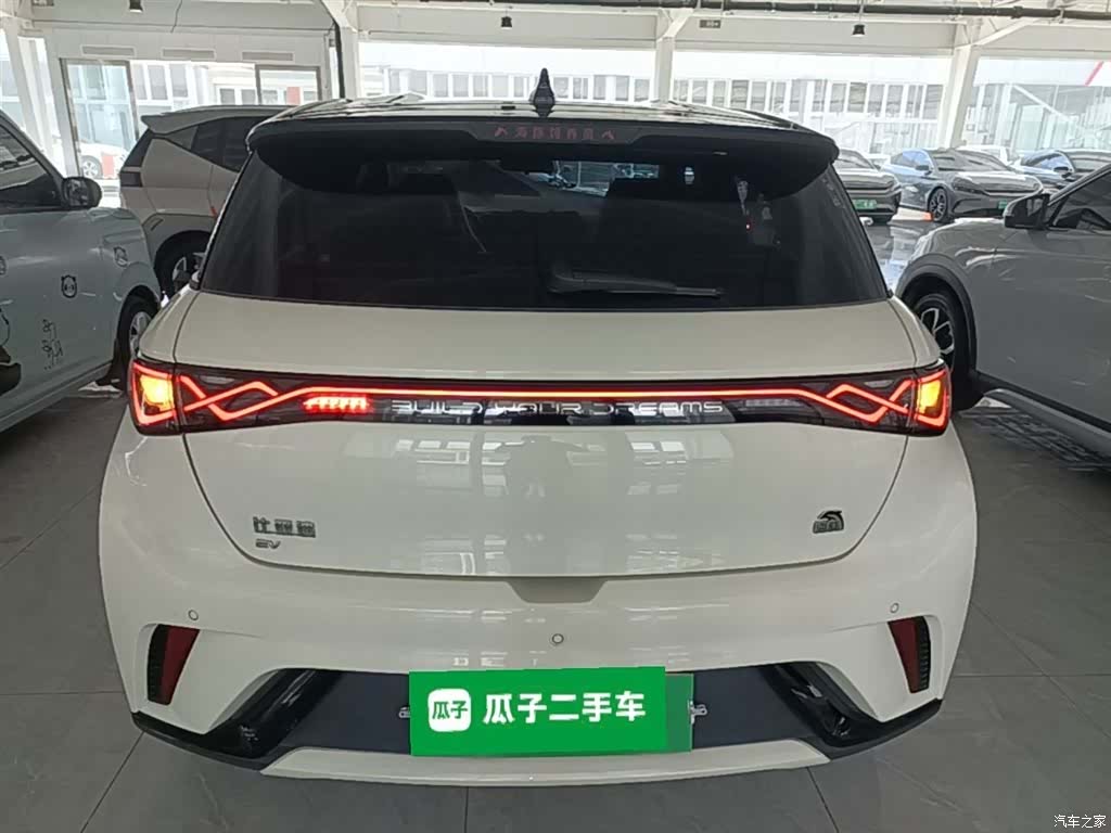 BYD Dolphin, 2024 6