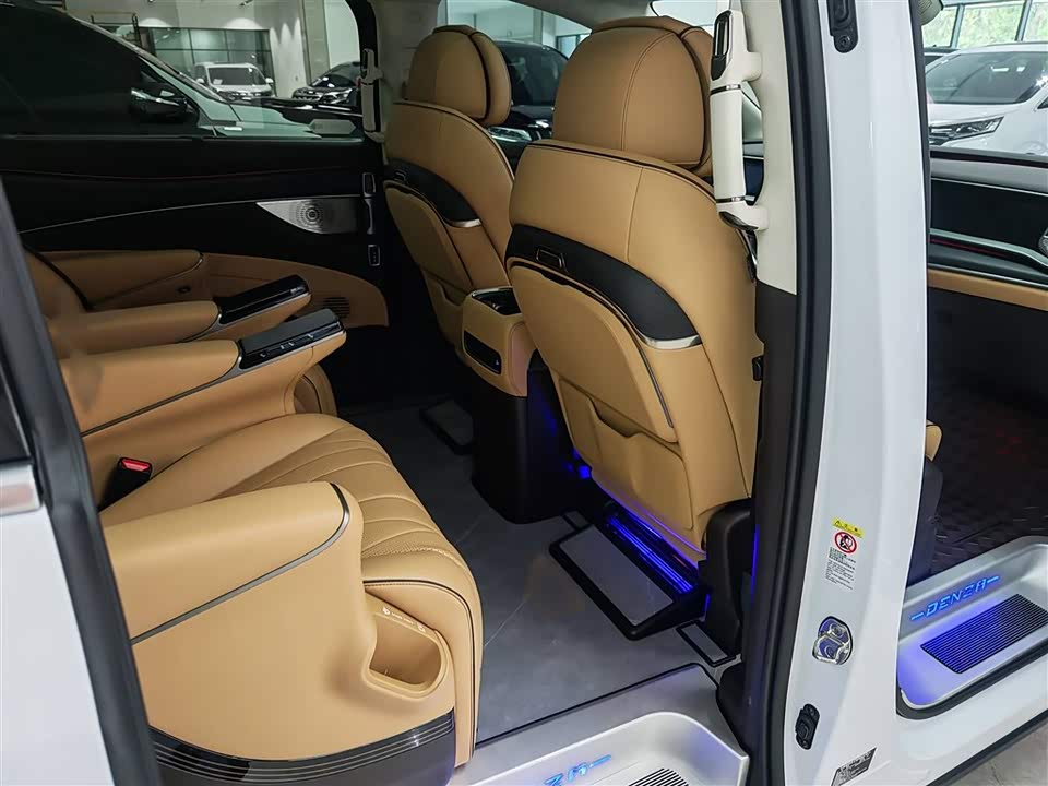 Denza D9 Denza D9
