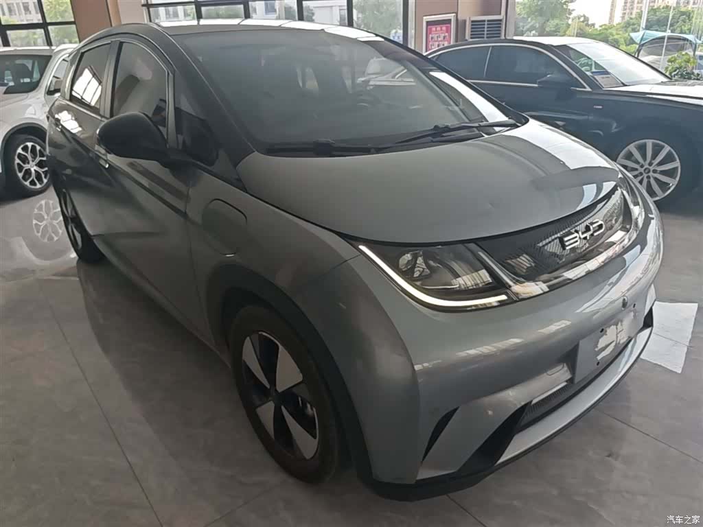 BYD Dolphin, 2023 4