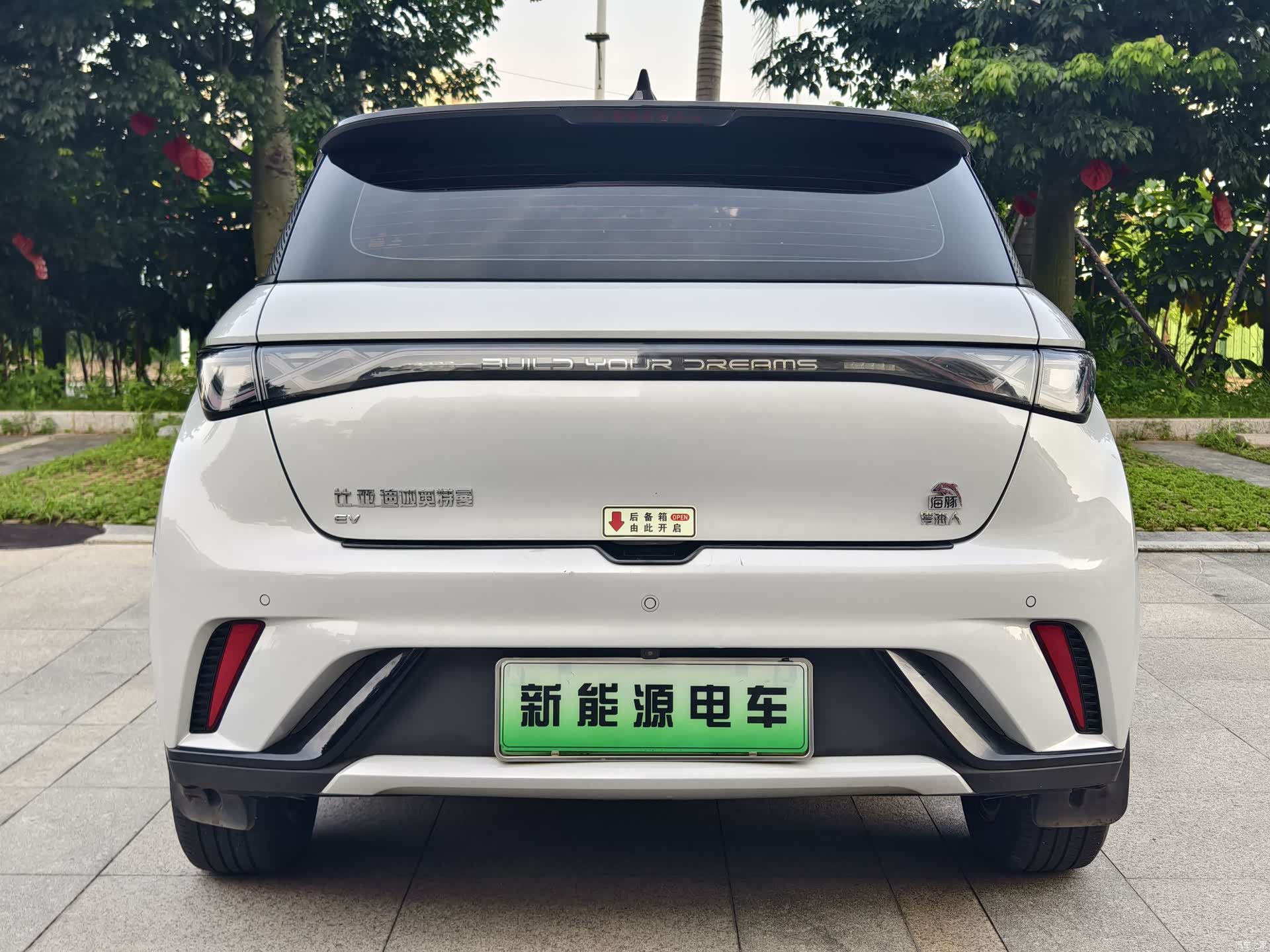 BYD Dolphin, 2022 6